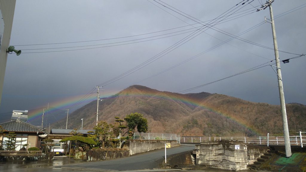 雨上がりの🌈